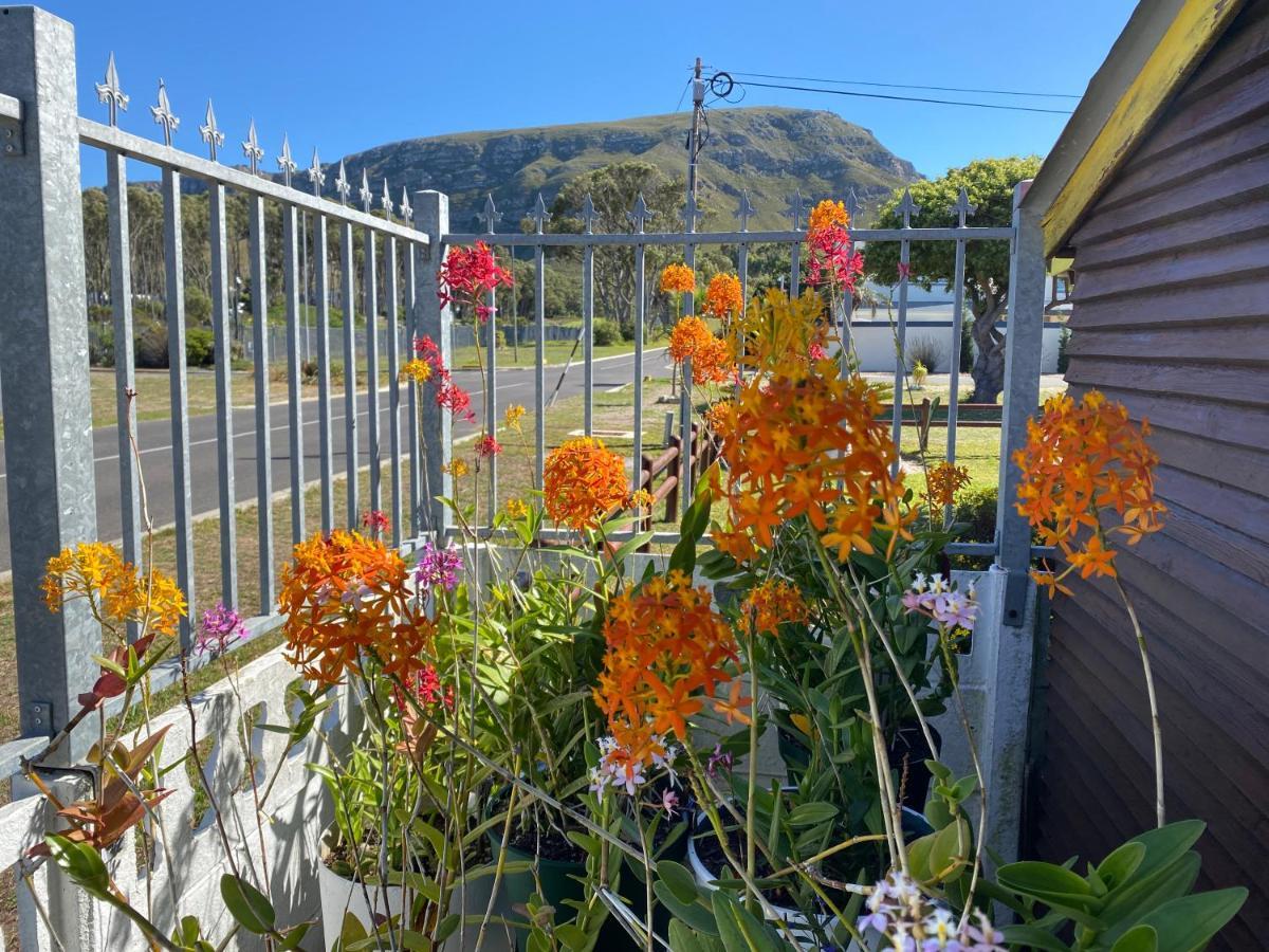 Hermanus 60 On Flat Exterior foto